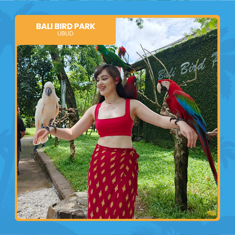 Bali-bird-park